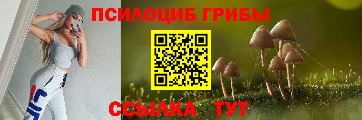 Галлюциногенные грибы Magic Shrooms Пенза