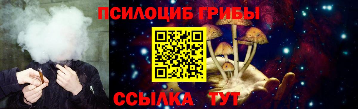 Пенза  Псилоцибиновые грибы мухоморы  Галлюциногенные грибы Magic Shrooms  Вход с VPN 