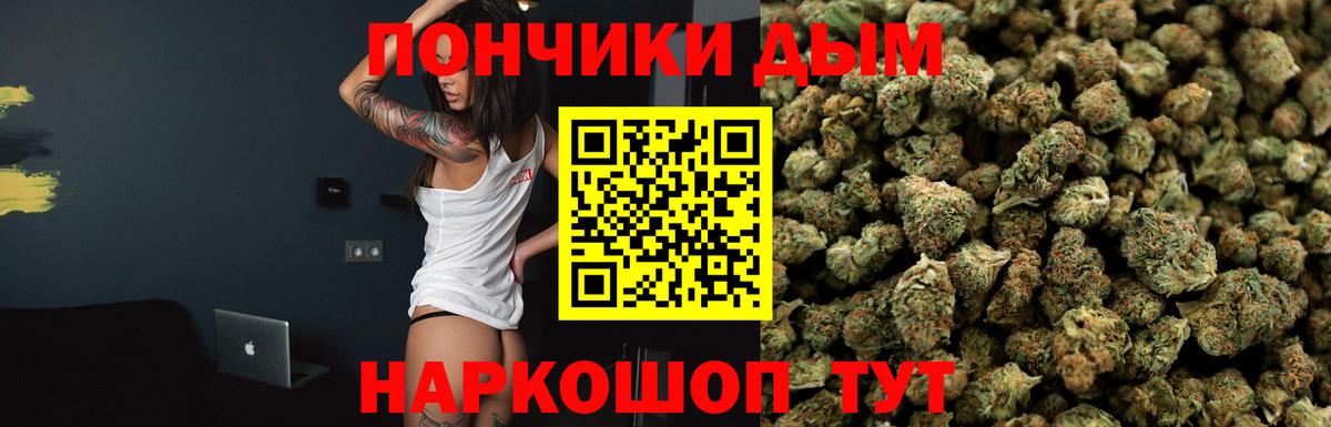 Каннабис OG Kush  Каннабис сатива  Канабис план  Пенза  Вход с VPN 
